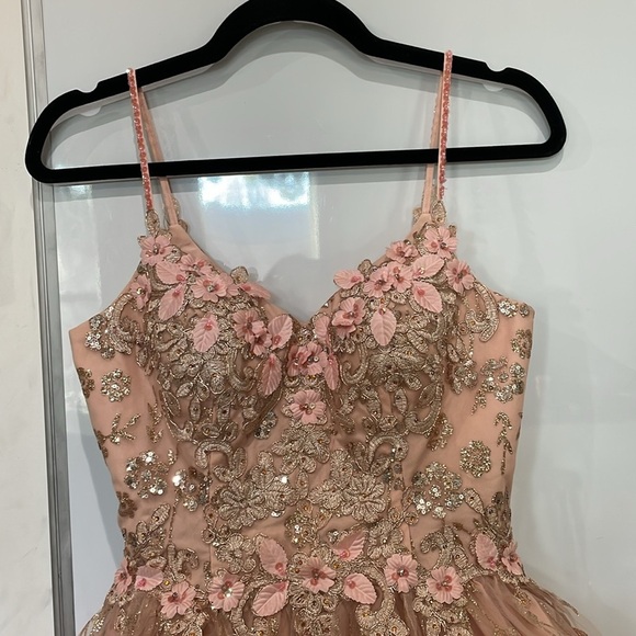 Dancing Queen Blush Pink Gold Embroidered Tulle Floral Mini Dress Size XS - Picture 6 of 16